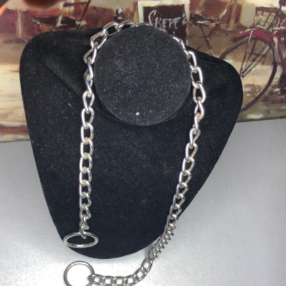 Silver Chain Link with O-Ring Detail
